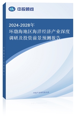 2024-2028h(hun)؅^(q)(jng)a(chn)I(y){мͶYǰAy